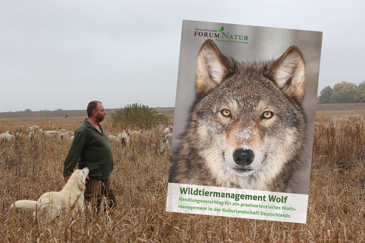 Neue Wege im Wolfsmanagement gehen!