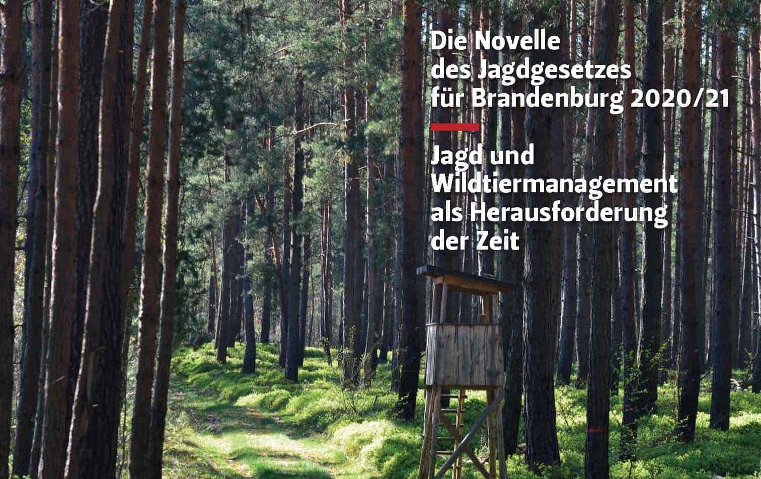 Novelle des Jagdgesetzes für Brandenburg 2020/21